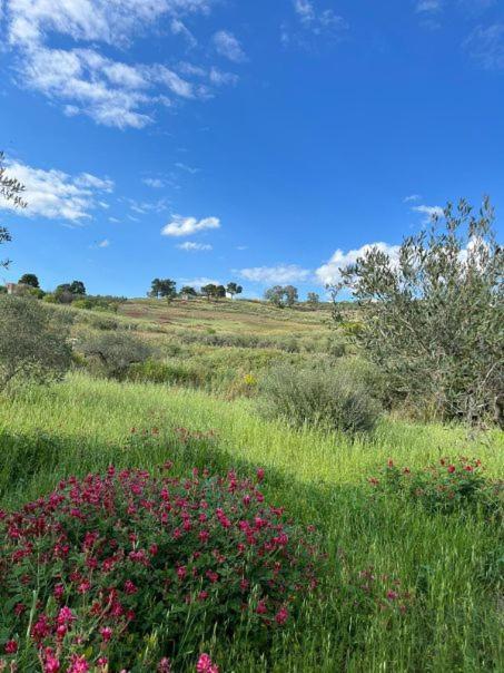 Villa Casa Country Agrigento Esterno foto